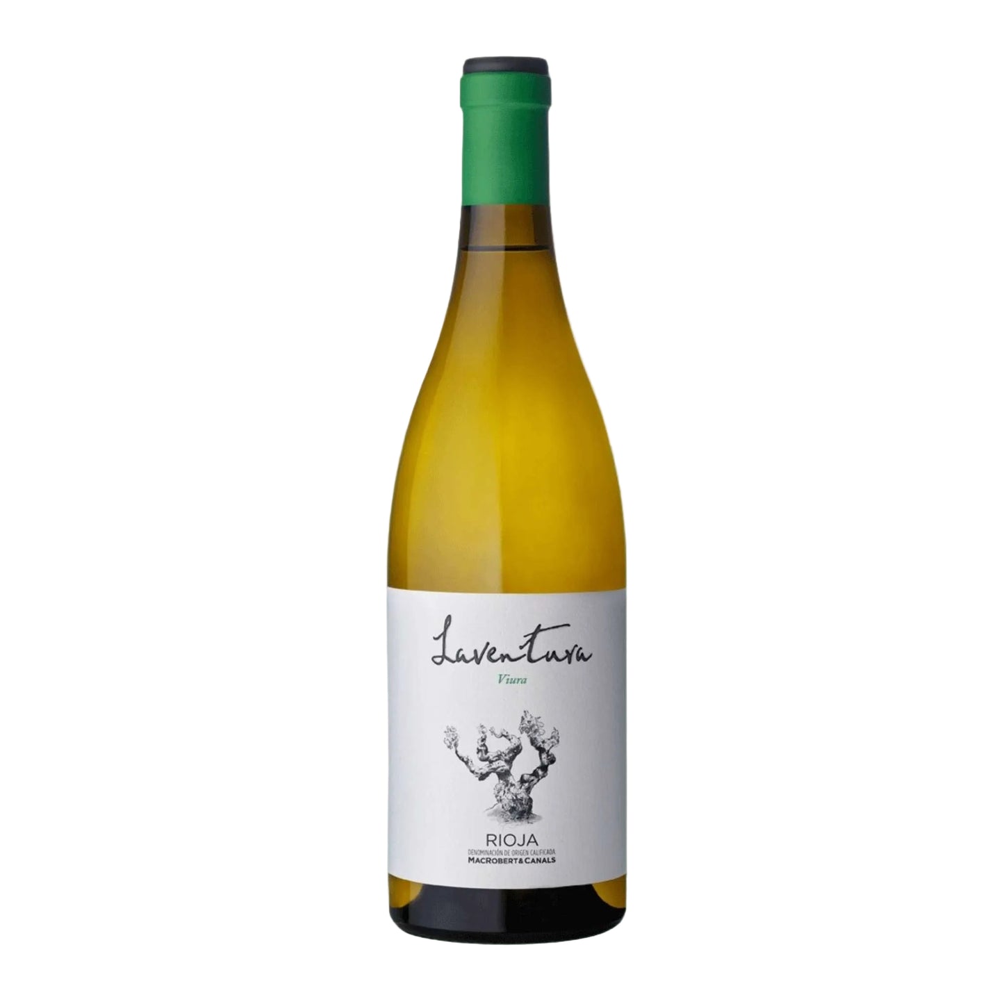 Macrobert & Canals 'Laventura' Rioja Blanco 2023 (100ml)
