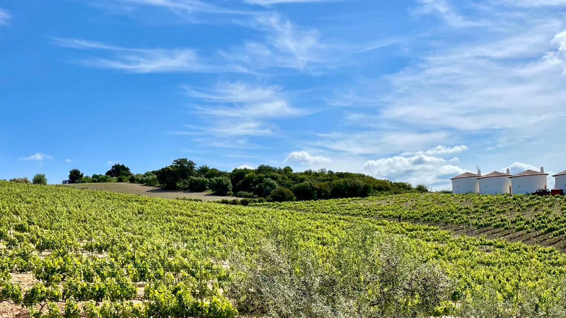 Casa los Frailes
