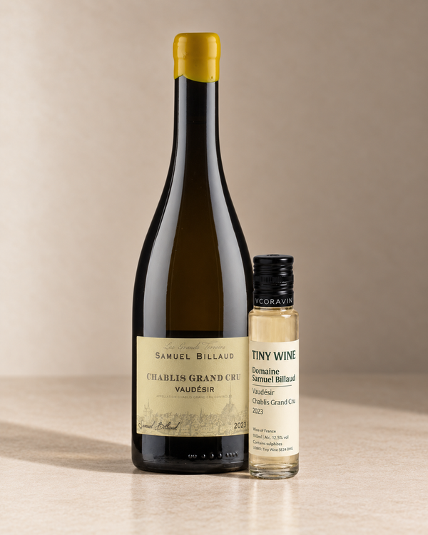 'Vaudésir' Chablis Grand Cru 2023