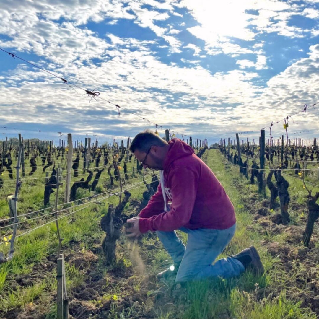 Antoine Sanzay 'Les Salles Martin' Saumur Blanc 2022 (Case of 6 Bottles)