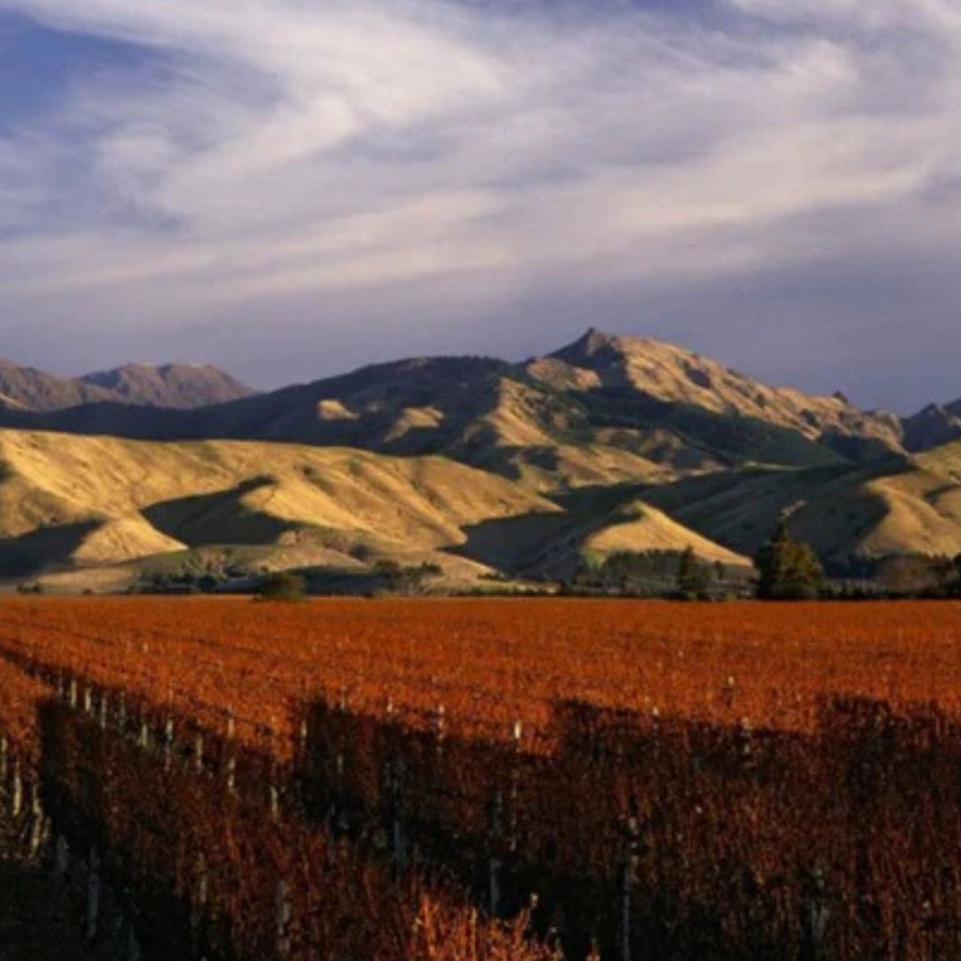Greywacke 'Archive Release' Sauvignon Blanc 2015 750ml