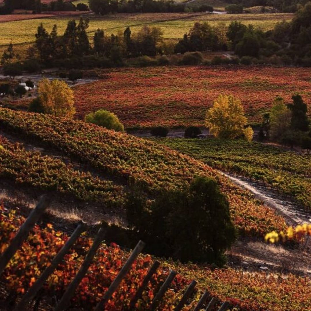 Neyen Malbec 2018 (Case of 6 Bottles)