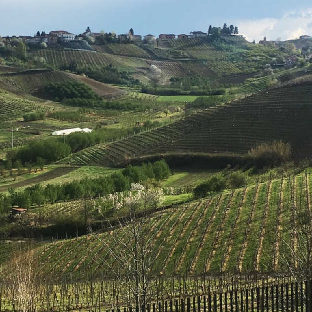 Stefano Occhetti Roero Riserva 2021 (Case of 6 Bottles)