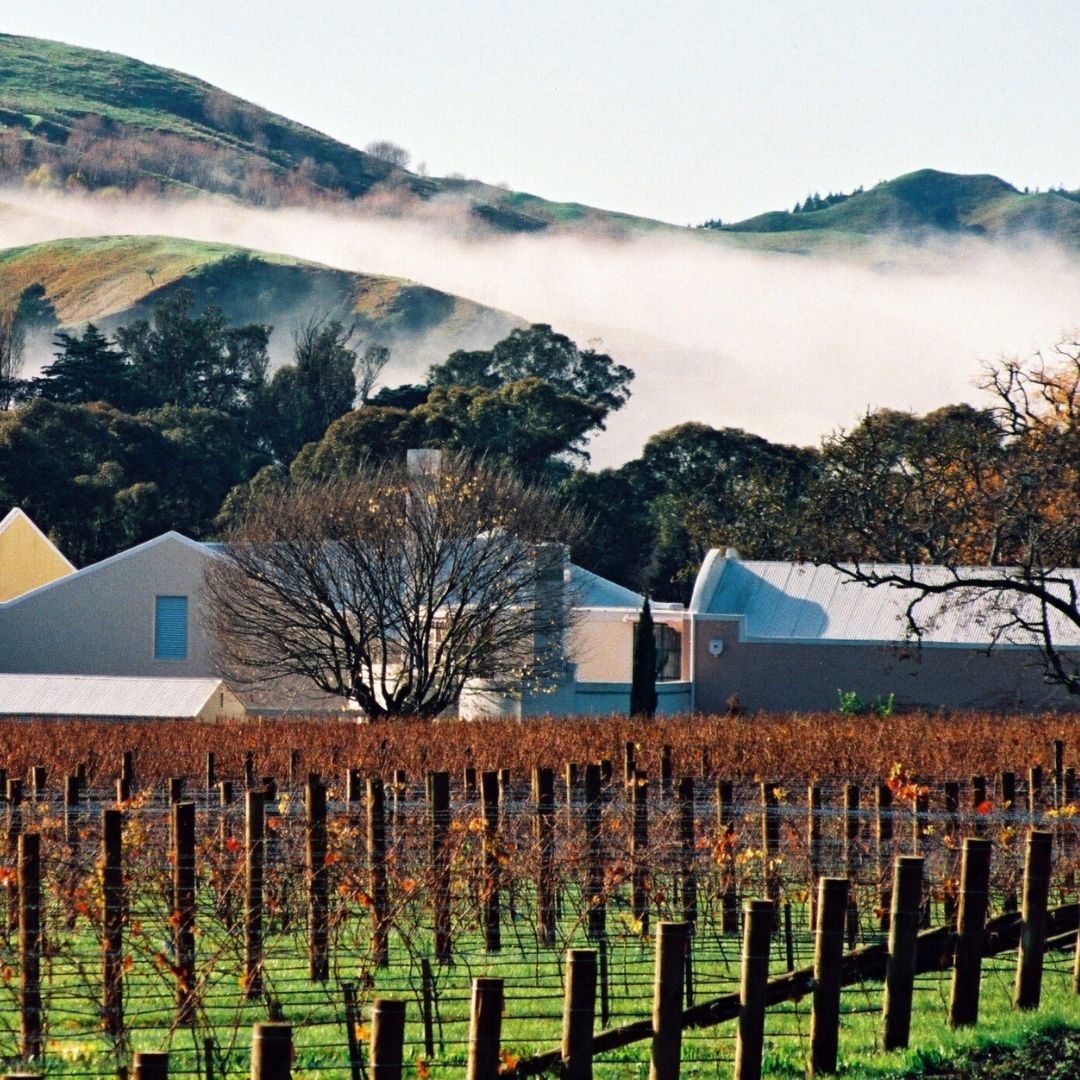 Te Mata 'Coleraine' Cabernet Blend 2023 (Case of 6 Bottles)
