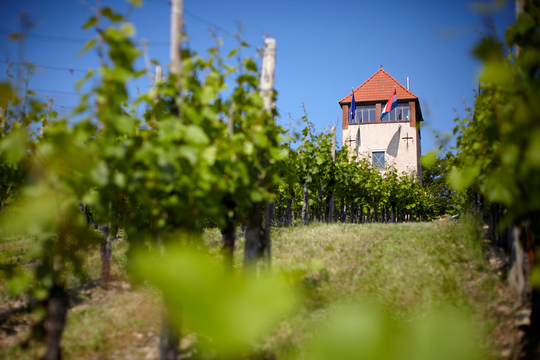 Château de Schengen