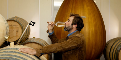 One difficult vintage. One Dagueneau.