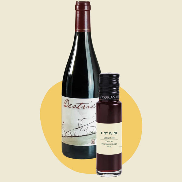 Céline Coté 'Destrier' Bourgogne Rouge 2020 (100ml)