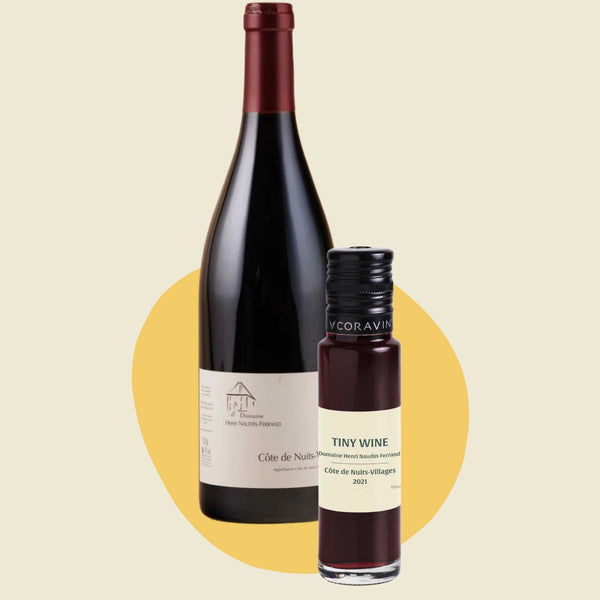Domaine Henri Naudin-Ferrand Côte de Nuits-Villages 2021 (100ml)