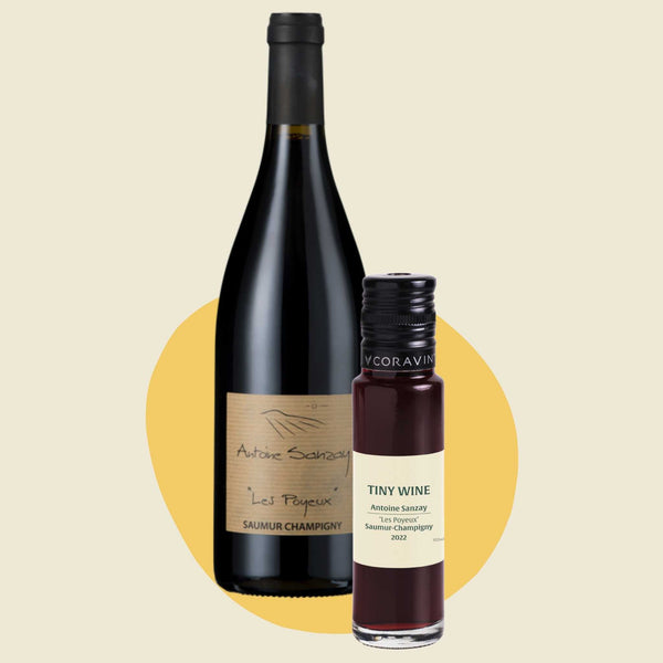 Antoine Sanzay 'Les Poyeux' Saumur-Champigny 2022 (100ml)