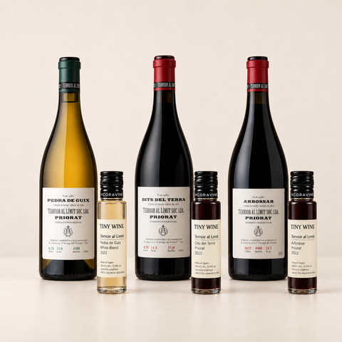 Producer Profile: Terroir al Limit