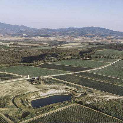 Argiano Brunello di Montalcino 2010 100ml