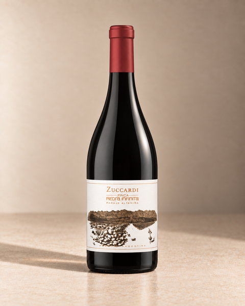 'Piedra Infinita'  Malbec 2019 single wine bottle on a warm beige studio background