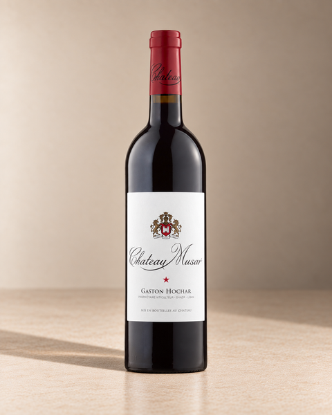 Cabernet Blend 2002 single wine bottle on a warm beige studio background