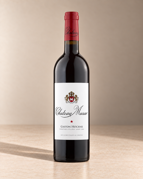 Cabernet Blend 2003 single wine bottle on a warm beige studio background