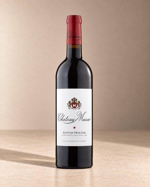 Cabernet Blend 2004 single wine bottle on a warm beige studio background
