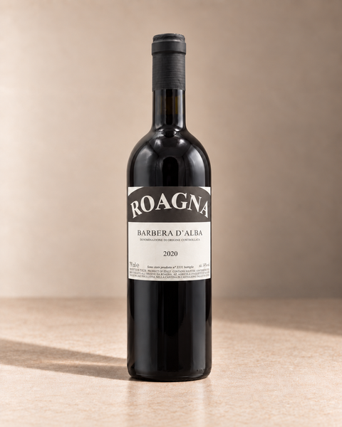 Barbera d'Alba 2020 single wine bottle on a warm beige studio background