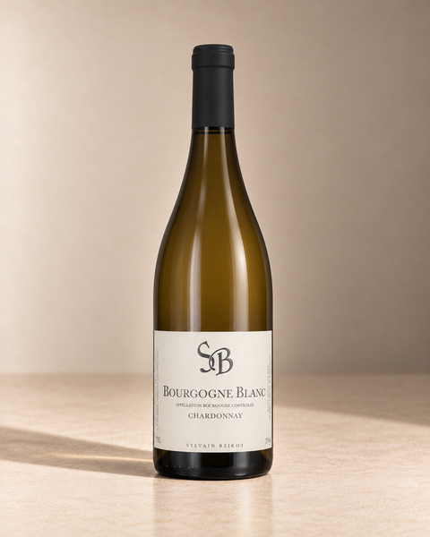 Bourgogne Blanc 2022 single wine bottle on a warm beige studio background