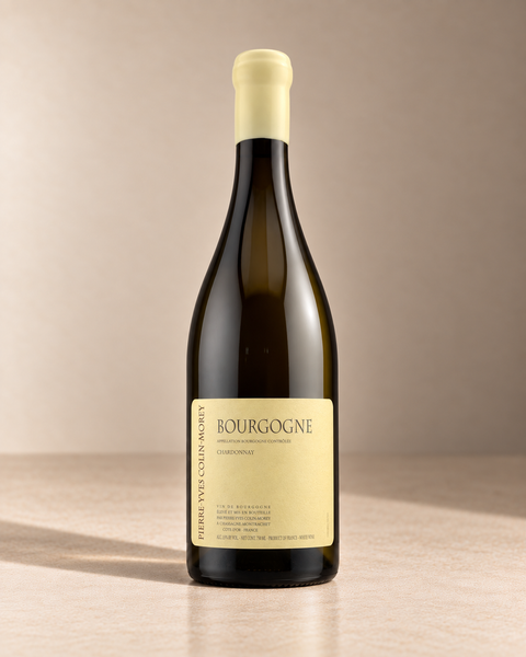 Bourgogne Blanc 2020 single wine bottle on a warm beige studio background