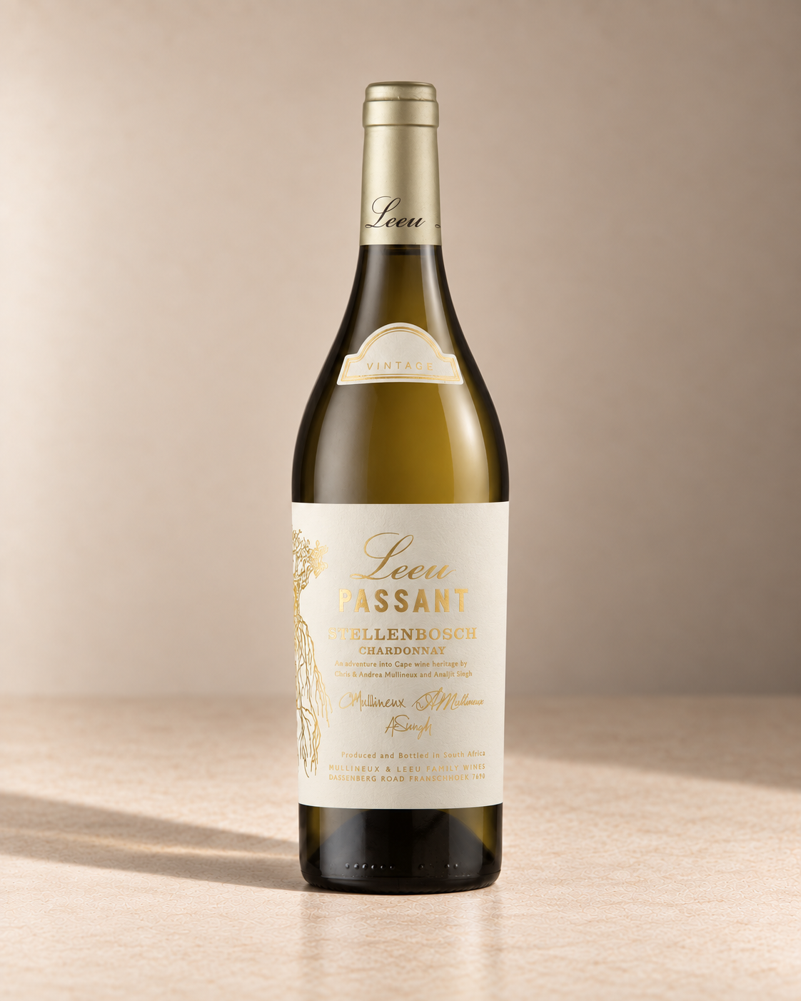 'Stellenbosch' Chardonnay 2019 - from magnum single wine bottle on a warm beige studio background