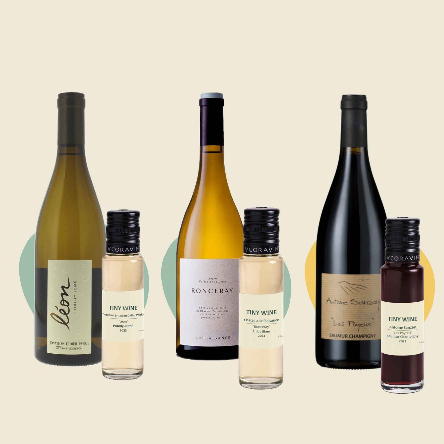 Loire Valley tasting kit with red and white wines alongside Tiny Wine samples