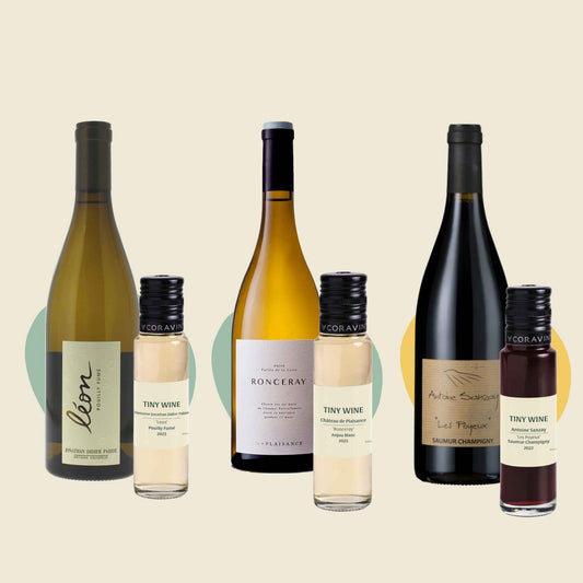 Loire Valley tasting kit with red and white wines alongside Tiny Wine samples