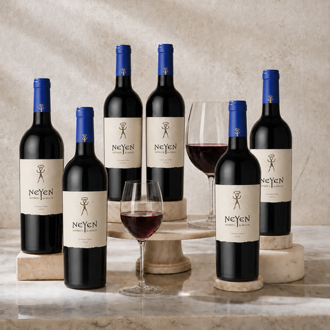 Neyen Malbec 2018 case