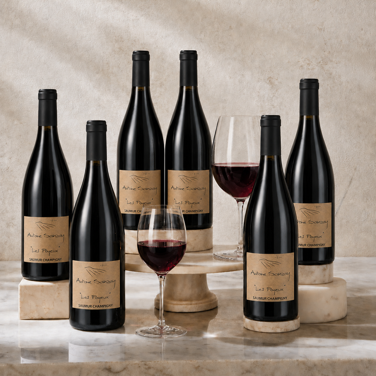 'Les Poyeux' Saumur-Champigny 2022