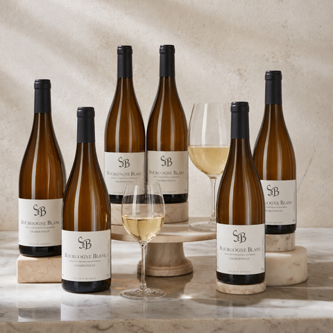 Sylvain Bzikot Bourgogne Blanc 2022 case