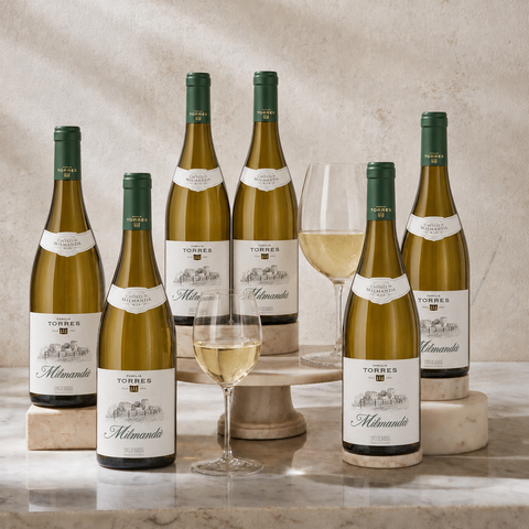 Familia Torres 'Milmanda' Chardonnay 2021 case