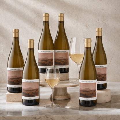 Gabrielskloof 'Elodie' Chenin Blanc 2024 (Case of 6 Bottles)