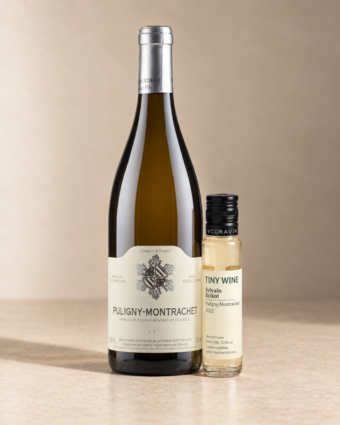 Puligny Montrachet 2022