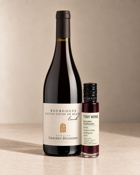 'Emile' Hautes-Côtes de Beaune 2023