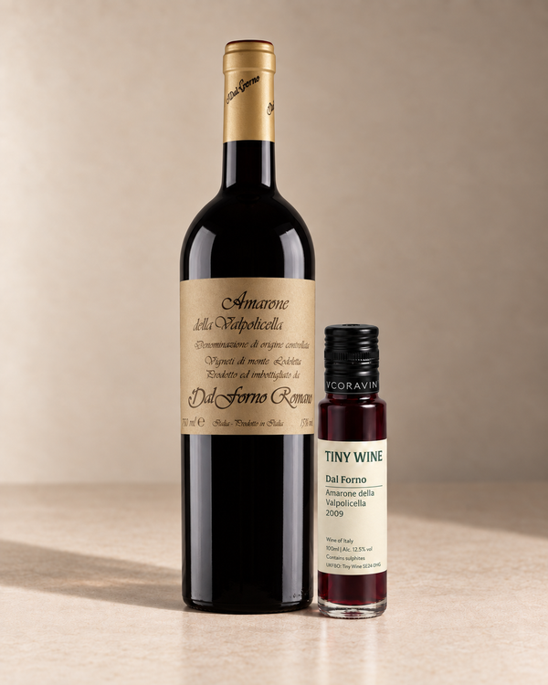 Amarone della Valpolicella 2009