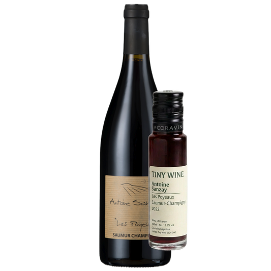Antoine Sanzay 'Les Poyeux' Saumur-Champigny 2022 100ml