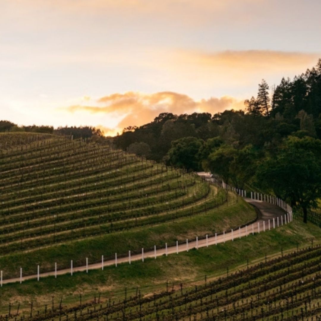 Abreu 'Rothwell Hyde Estate Red' Cabernet Blend 2017 100ml