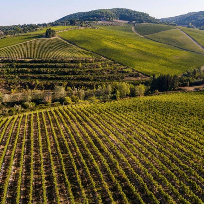 Antinori 'Tignanello' Toscana IGT 2014 100ml