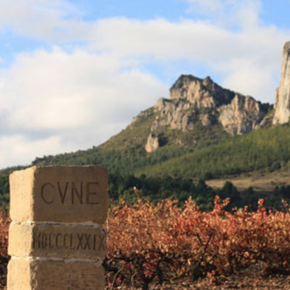C.V.N.E. 'Imperial' Gran Reserva 2017 100ml