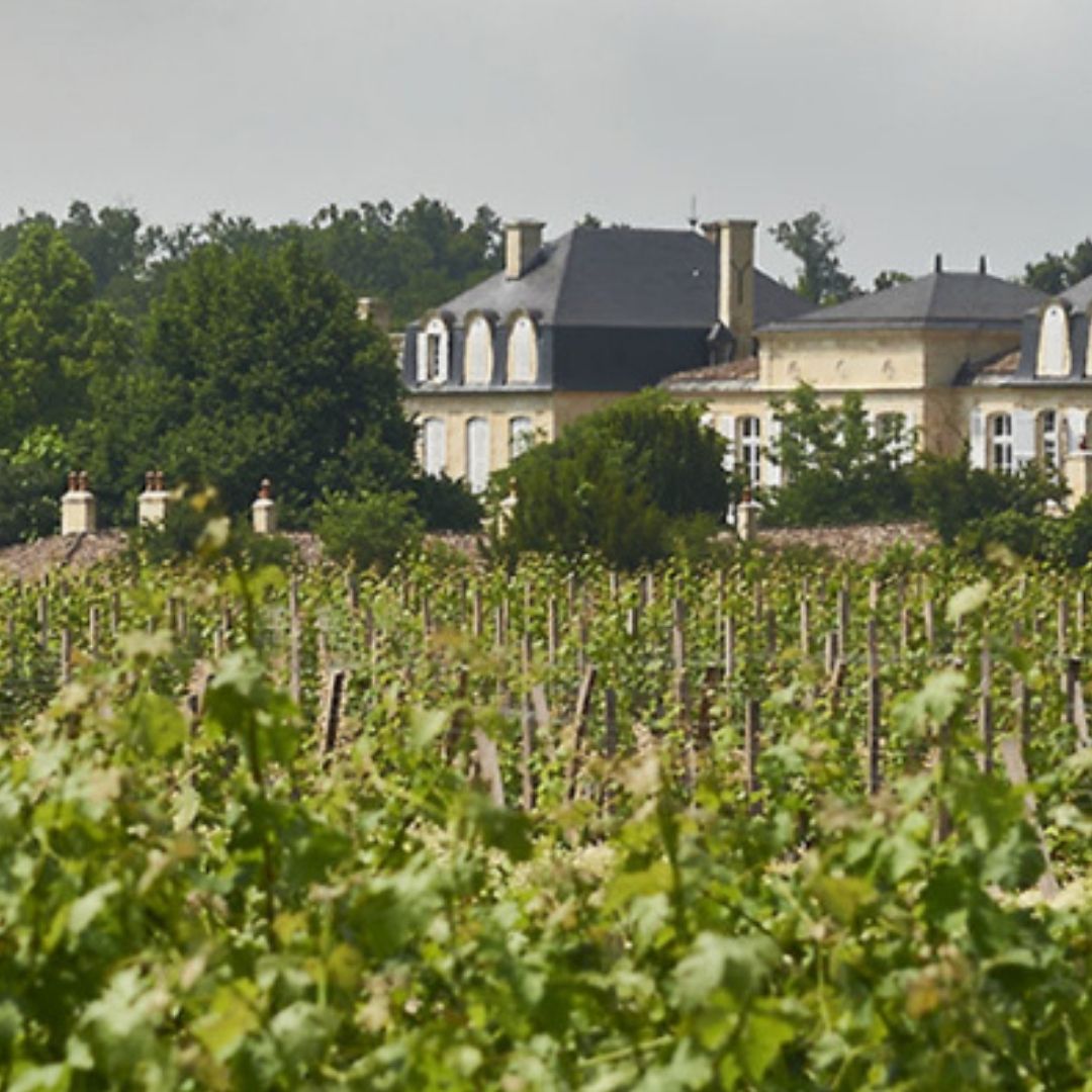 Château Langoa Barton Cabernet Blend 2009 100ml