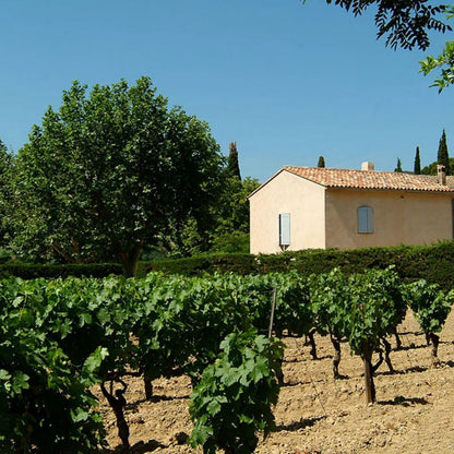 Domaine Tempier 'Cuvée Classique' Mourvèdre Blend 2019 100ml