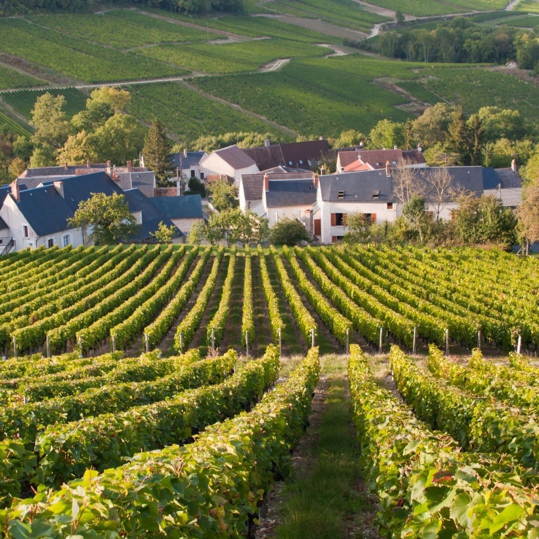 Domaine Vacheron 'Les Romains' Sancerre 2018 100ml - from magnum