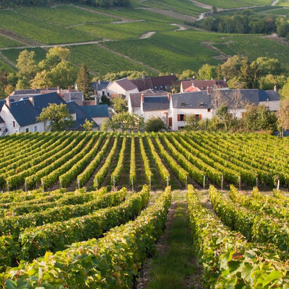 Domaine Vacheron 'Les Romains' Sancerre 2018 100ml - from magnum