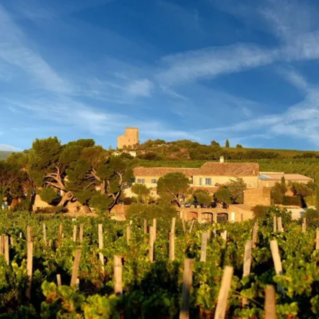Domaine de la Solitude 'Vin de la Solitude' Châteauneuf du Pape 2022 100ml
