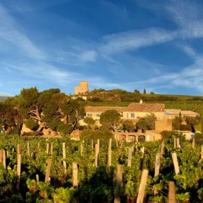 Domaine de la Solitude 'Vin de la Solitude' Châteauneuf du Pape 2022 100ml