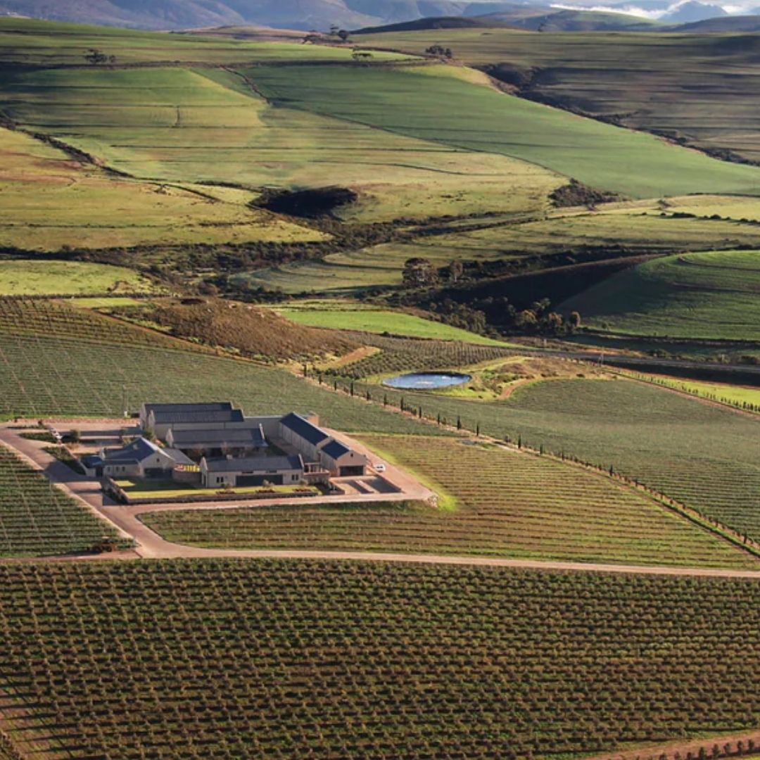 Gabrielskloof 'Elodie' Chenin Blanc 2024 750ml