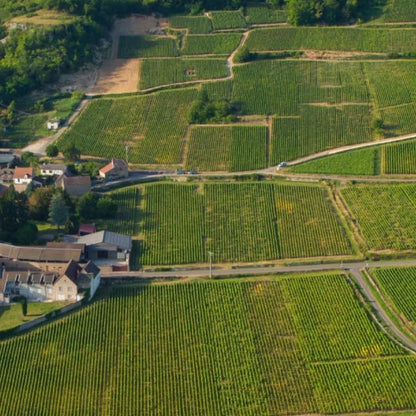 Grachet Duchemin 'La Croix d'Helios' Hautes-Côtes de Beaune 2024 750ml