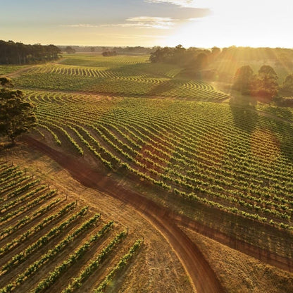 Leeuwin Estate 'Art Series' Cabernet Sauvignon 2019 100ml