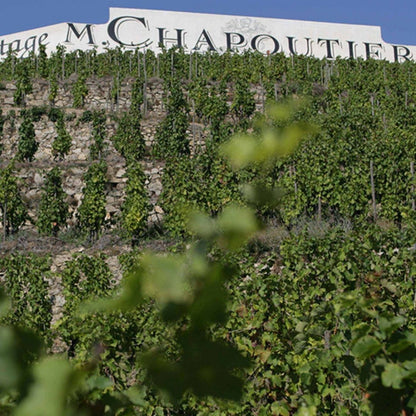 M. Chapoutier 'Le Méal Blanc' Ermitage 2021 750ml