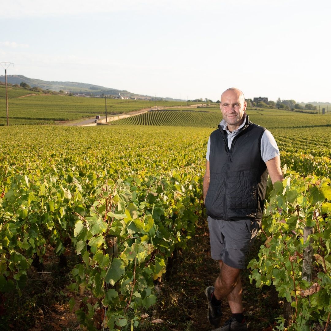 Pierre-Yves Colin-Morey Bourgogne Blanc 2020 750ml