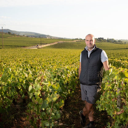 Pierre-Yves Colin-Morey Bourgogne Blanc 2020 750ml