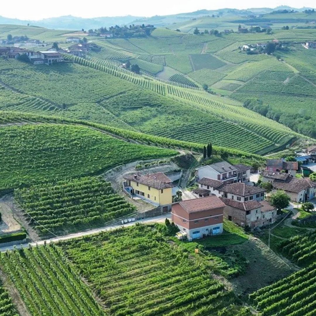 Roagna Barbera d'Alba 2020 100ml
